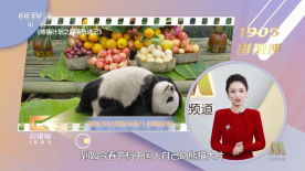 美女不遮挡